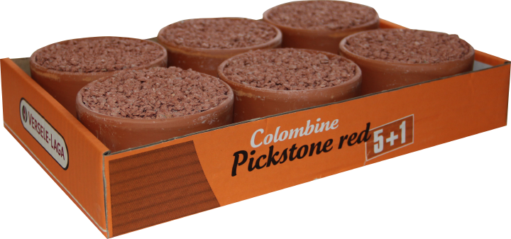 VERSELE-LAGA Pickstein Rot